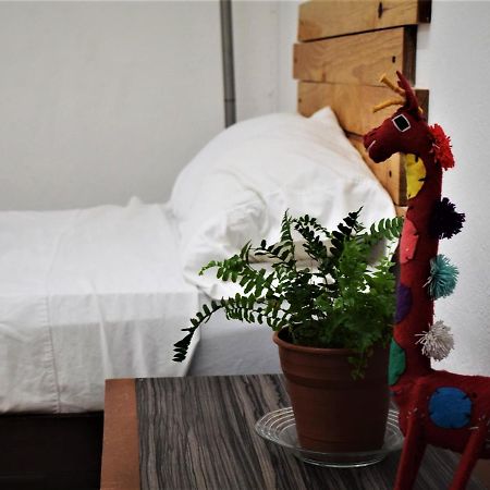 Hostal Casa Bohemia 梅里达 外观 照片