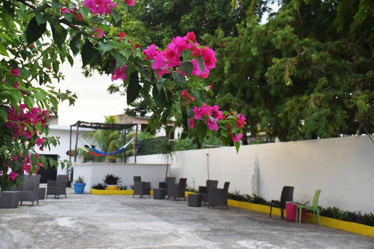 Hostal Casa Bohemia 梅里达 外观 照片