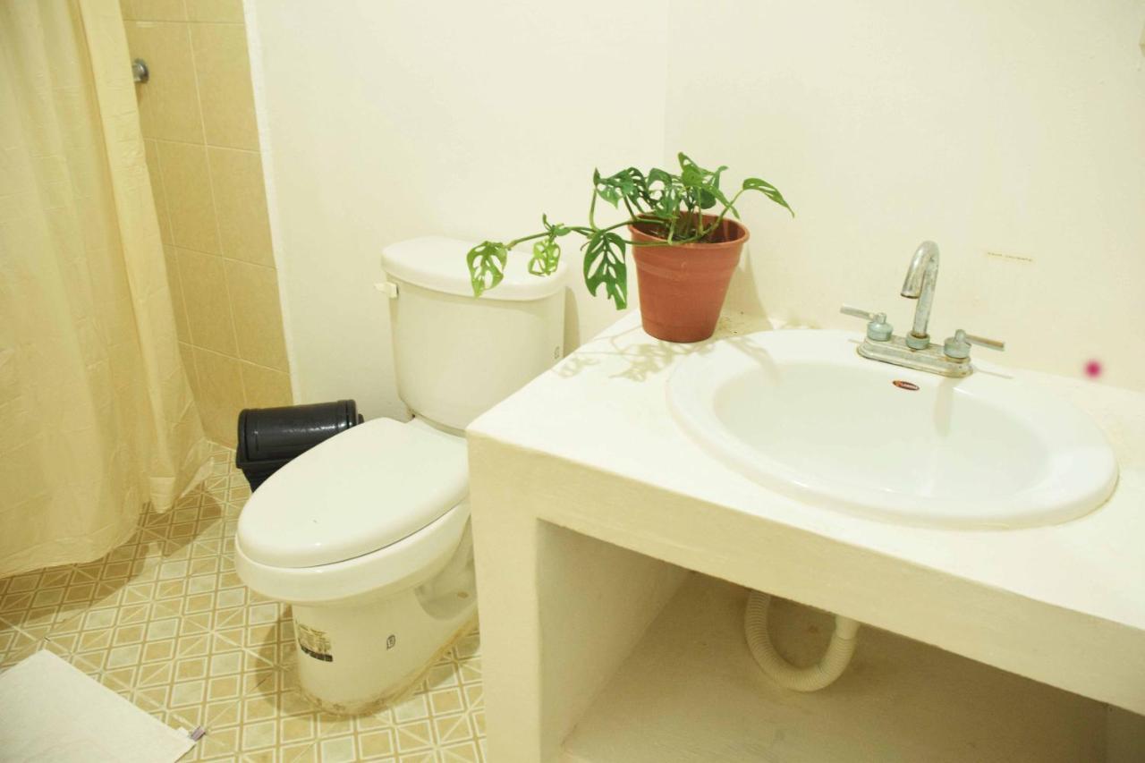 Hostal Casa Bohemia 梅里达 外观 照片